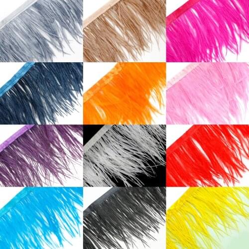 10 Meters/lot Multi Color Long Ostrich Feather Plumes Fringe trim 8-10cm Feather Boa Stripe for Party Clothing Accessories Craft