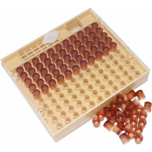 120x Brown Cell CupsSystem Beekeeping Queen Rearing Cupkit Box Cupularve Tools Bee Keeper Tool