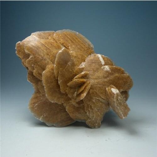 Desert Rose never withers natural mineral stone mineral crystal rose teaching specimens