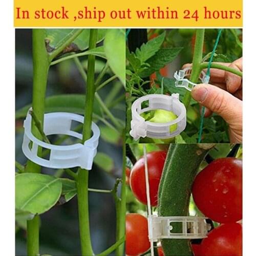 50/100 reusable plastic plant support clips for plants hanging vine clips garden greenhouse vegetables tomato clips plant clips