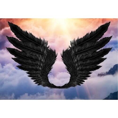 5D diamond painting Black angel wings DIY full round diamond embroidery kit mosaic square Rhinestones home decor ornaments A2235