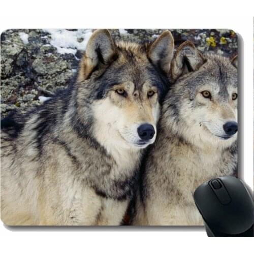 Rectangle Mouse Pad,Animal wolf military Gaming Mousepad Mat