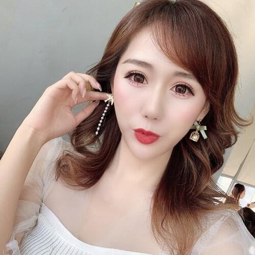 Asymmetrical Clip On Earrings Korean Long Pearl Chain Bird Birdcage Dangle Clip Earring No Hole Novelty Kpop Jewelry For Women