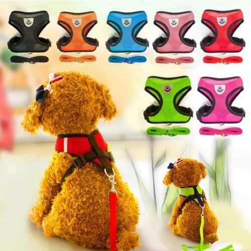 Шлейки LNRRABC China At AliExpress