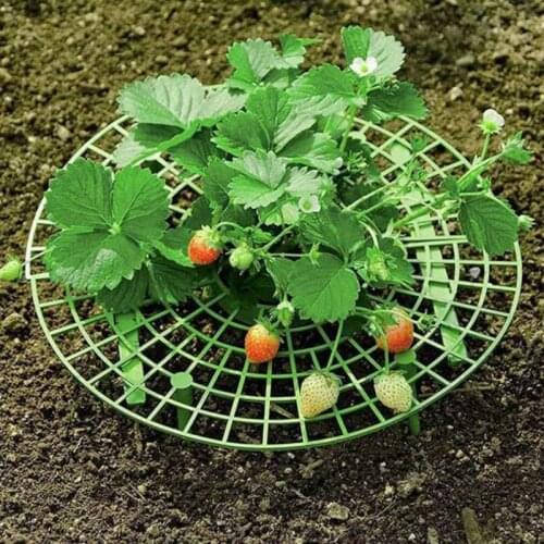 Green Strawberry Stand Frame Holder Balcony Planting Rack Fruit Support Plant Flower Climbing Vine Pillar Gardening Stand 1PC