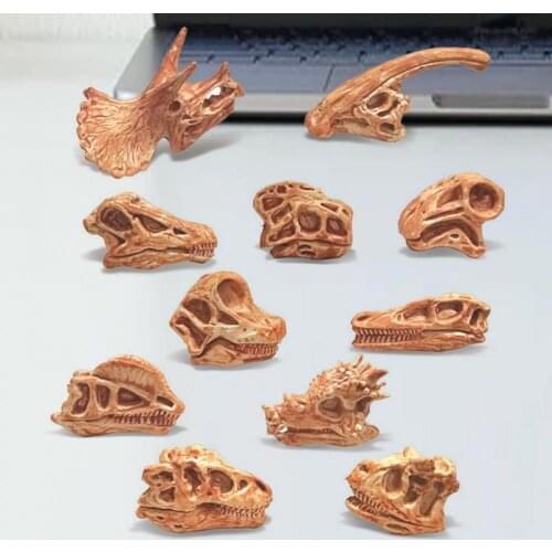 11Pcs/Set Dinosaur Fossil Model High Simulation Hand-painted Vivid Carnotaurus Dinosaur Skull Fossil Figurine for Kids