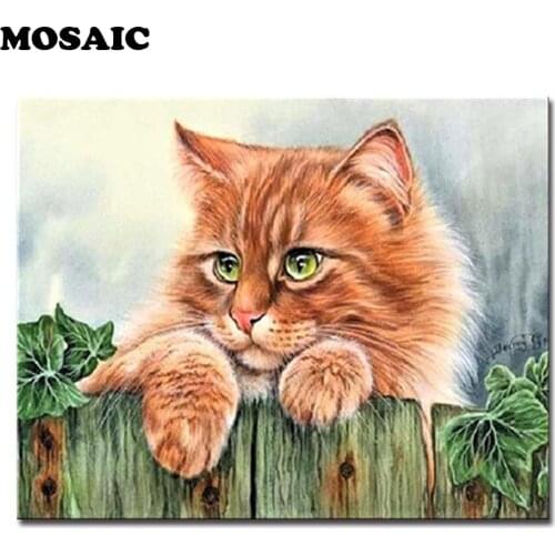 Full Square paint diamond 5D DIY Diamond Painting"Blue Cute Cat"animals Embroidery Cross Stitch Mosaic pictures by bumbers