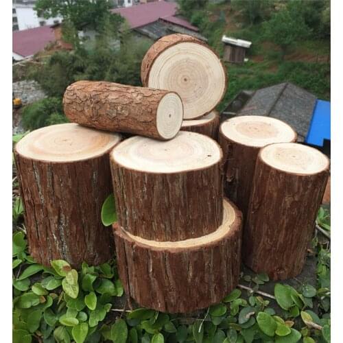 1pc Small Wooden pile base ornaments stump original wood tree photography photo tool manual DIY decoration Unfinished Wood