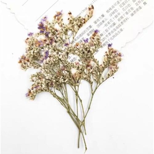 60pcs Pressed Dried Codariocalyx Motoriu Dry Flower Plants For Epoxy Resin Pendant Necklace Jewelry Making Craft DIY Accessories