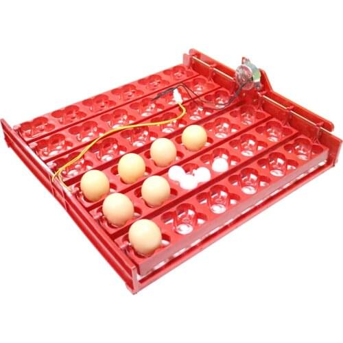 36 Eggs /144 Bird Eggs Duck Goose Pigeon Quail Automatic Incubator Incubation Equipment The Birds Poultry Incubator Equipment