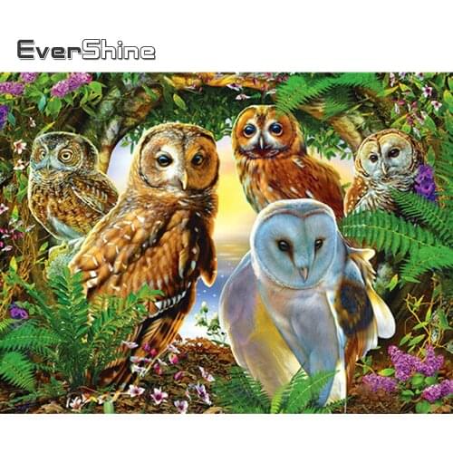 Evershine 5D Diamond Painting Owl New Arrival Diamond Mosaic Animal Rhinestones Picture Embroidery Full Drill Square Handicraft