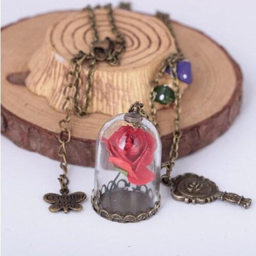 Women Romantic Dried Flowers Glass Bronze Long Chain Beauty and Beast Necklaces
