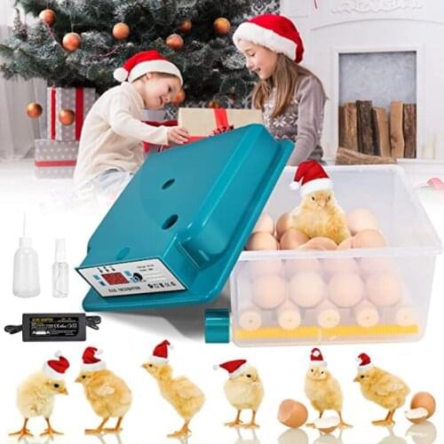 16 Eggs Chicken Brooder Incubator Automatic Egg Incubator Brooding Machine Chick Incubator with LED Temperature Display Home