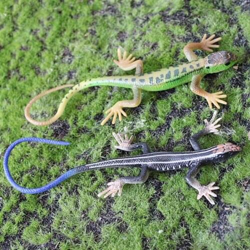 Artificial Lizard Fadeless Vivid Colorful Reptile Lizards Toy Party Supplies