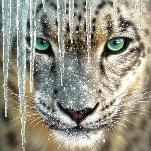 5D DIY diamond embroidery leopard in snow diamond painting Cross Stitch full square/Round Rhinestone mosaic home decor gift H283