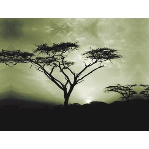 Canvas prints beautiful tree oil painting from beautiful photos, modern picture printed on catton canvas free shipping