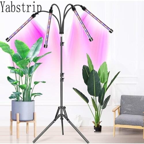 Yabstrip Goods For Tourism