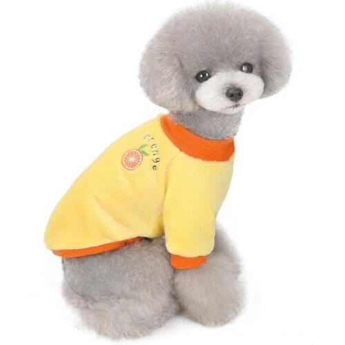 Winter Cartoon Fruit Pattern Sweatshirt Two-legged Dog Clothes Pet Clothing
