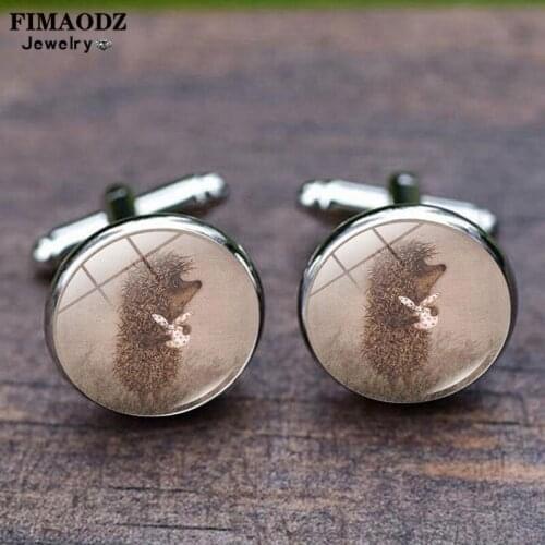 FIMAODZ Hedgehog In The Fog Cufflinks Glass Cabochon Exquisite Cartoon Anima Photo Cuff Links Cufflink for Men Women Gift