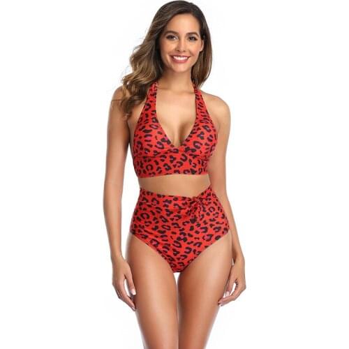 New Leopard Bikini European and American Sexy High Waist Gathered Split Swimsuit Hot Spring Vacation Swimwear Bathing Suit Women