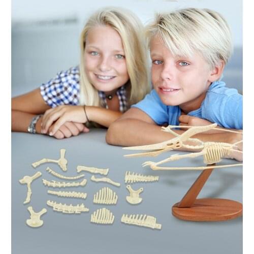 DIY Tyrannosaurus Pterosaur Dinosaur Memory Model Digging Fossils Excavation Toys Kids Learn Educational Novel Toy Kids Gift