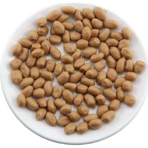 Gresorth 100pcs Fake Peanut Decoration Artificial Fruit Nuts for Home Party Kitchen Shop Learning Food Props