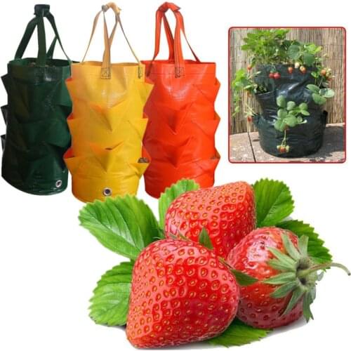 MAIGEENIFA Outdoor Pots