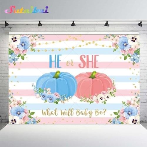 He or She Gender Reveal Backdrop Newborn Blue Pink Pumpkin Flower Boy or Girl Baby Shower Birthday Party Photo Studio Background
