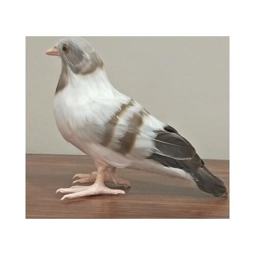 Foam&feathers gray peace bird large 30x20cm real life toy dove bird model prop.home garden decoration Xmas gift w0366