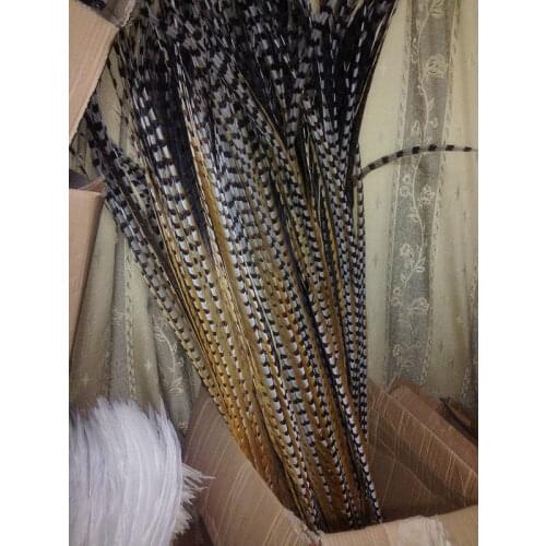 Free shipping wholesale 10pcs scare Natural Pheasant Tail 110-120cm / 44-48inch Decorative diy