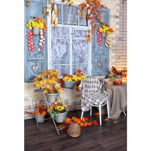 Autumn Interior Harvest Fruit Sunflowers Scene Shoot Child Photography Background Photozone Photographic Backdrop Photo Studio