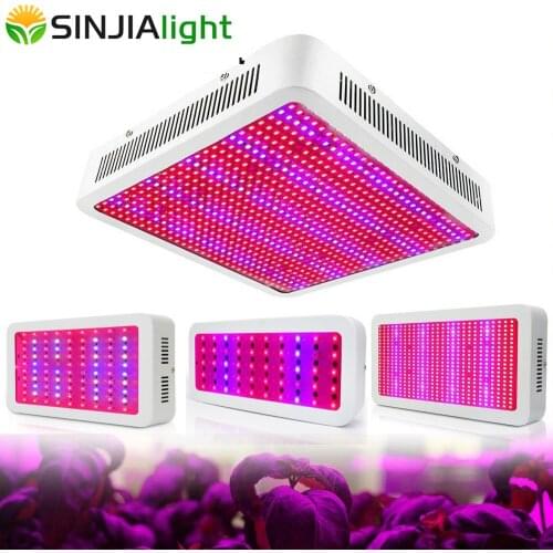 1200W 1000W 800W 600W 300W LED Grow Light Full Spectrum with Glasses Led Plant Lamp for Fruits Vegs Grow Tent Greenhouse