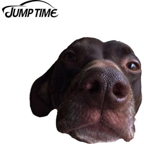 Jump Time 13 x 12cm For GSP Dog Funny Car Sticker Funny Graphics Windshield Graffiti Stickers RV VAN Decoration Fine Decal