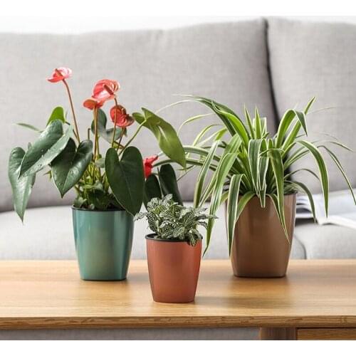 Lazy Flower Pot Automatic Water Absorption Plant Hydroponic for Home Garden GQ