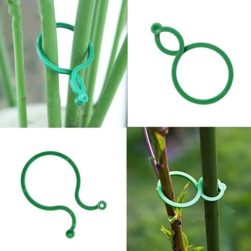 10 Pcs Plant Support Garden Clips Trellis for Vine Vegetable Tomato To Grow Upright Garden Plant Stand