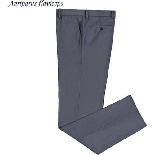 Auriparus flaviceps Mens Summer Pants