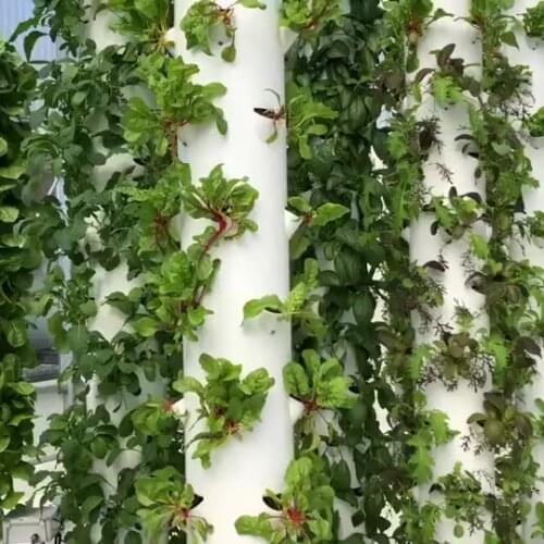 Hot Sell Tower Garden Vertical