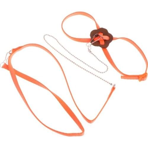 Pet Parrot Bird Harness Leash Outdoor Adjustable Training Rope Anti Flying Traction Strap Portable Band