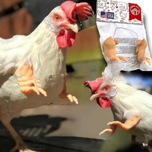 Pet Decoration Dinosaur Chicken Arms Funny Decoration Suitable For Chicken Body And Fist Funny Decorative Toys for Poultry