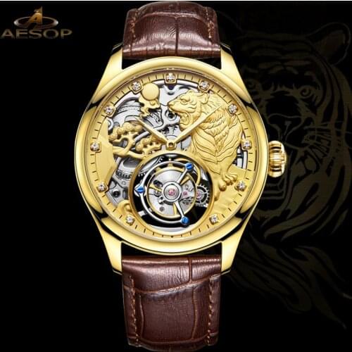 Aesop Automatic Luxury Mechanical Watch Real Tourbillon Watches Men Sapphire Glass Stainless Steel Waterproof Watch For Men