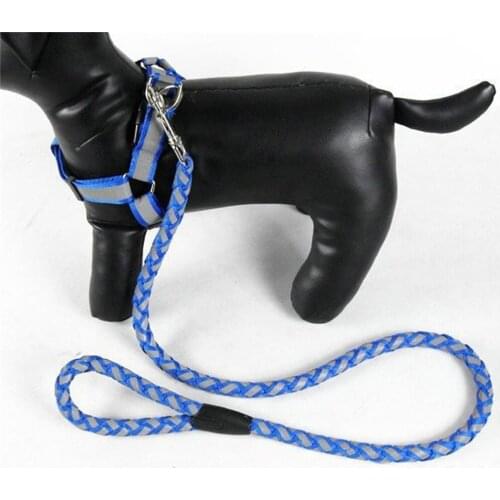 LITTLE YANNSUCA Collars, Harnesses And Leashes