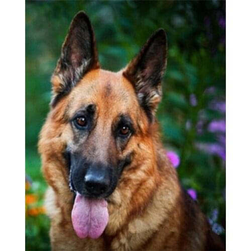 Love.Thanks Animal Diamont Painting Pet Dog Diamond Painting Full Cross Stitch Kit Diamond Embroidery Rhinestones Painting