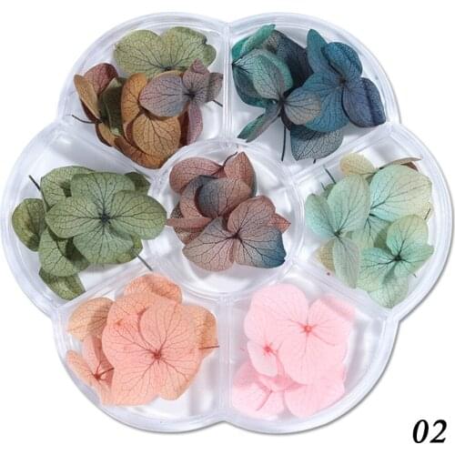 7 Colors Natural Dry Flower Diy Nail Design Nail Art Sticker Lovely Flower Nail Beauty 3d Decoration Tool Sticker For Manicure