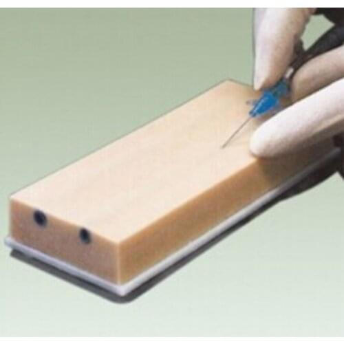 BIX-HS15 IV Lnjection Training Pad(Big) WBW062