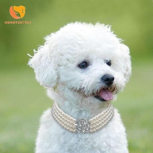Puppy Dog Necklace Collar Diamond Pearl With Shiny Rhinestone Rose Pendant Cat Collar Jewellery For Chihuahua Pet Products