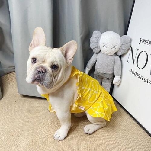 Dog Clothes for Small Dogs Cotton Dress for Chihuahua Princess Dress for French Bulldog Yorkie Pet Clothing Pug Puppy Costume