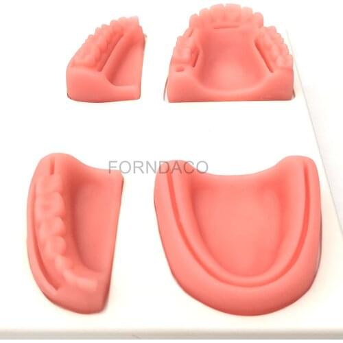 Oral Gum suture training module silicone periodontitis Dental wound teaching model Surgeon Medical