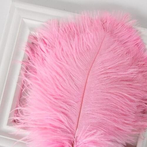 18*10cm/10pcs,Real Craft ostrich feather,Big Decorative feather for wedding party performance ,DIY accessories,Easter decor