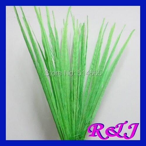 Free Shipping 50-55cm 20-22" Bleached and Dying ringneck pheasant feather 50PCSLime green / Light Green Pheasant Tail Feathers