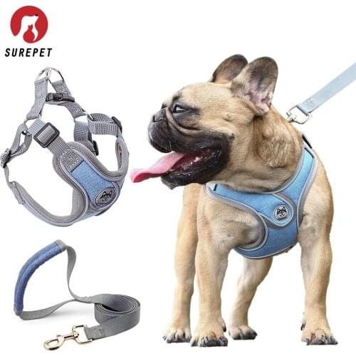 Surepet Dog Harnesses with Leash for Small Medium Dogs Adjustable,Reflective